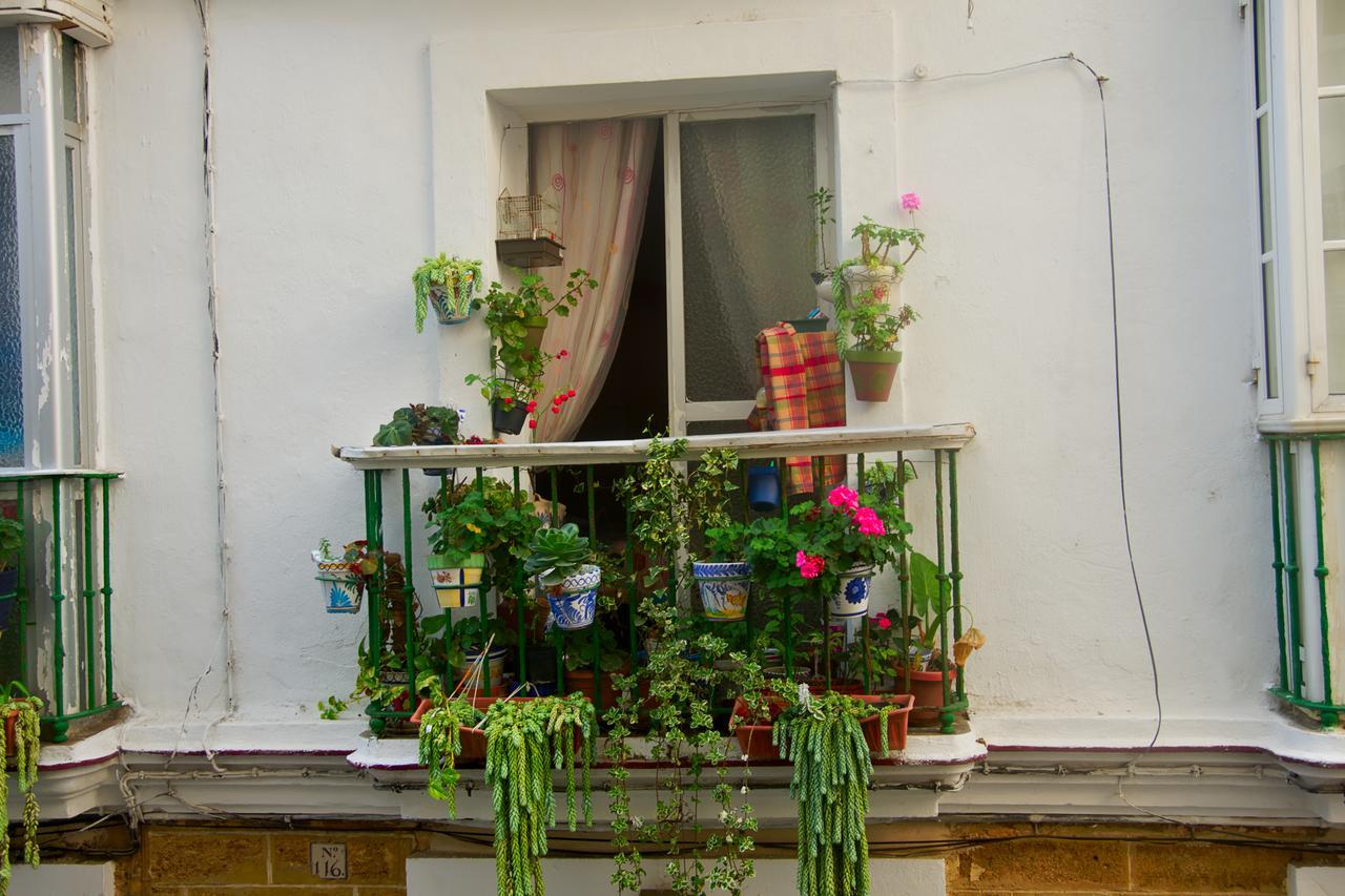 Spanish Galleon Lodge Cadiz Dış mekan fotoğraf